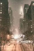 Carica l'immagine nel visualizzatore della galleria, FLASHBACK IN NEW YORK