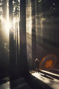 Carica l'immagine nel visualizzatore della galleria, WOODY MOOD