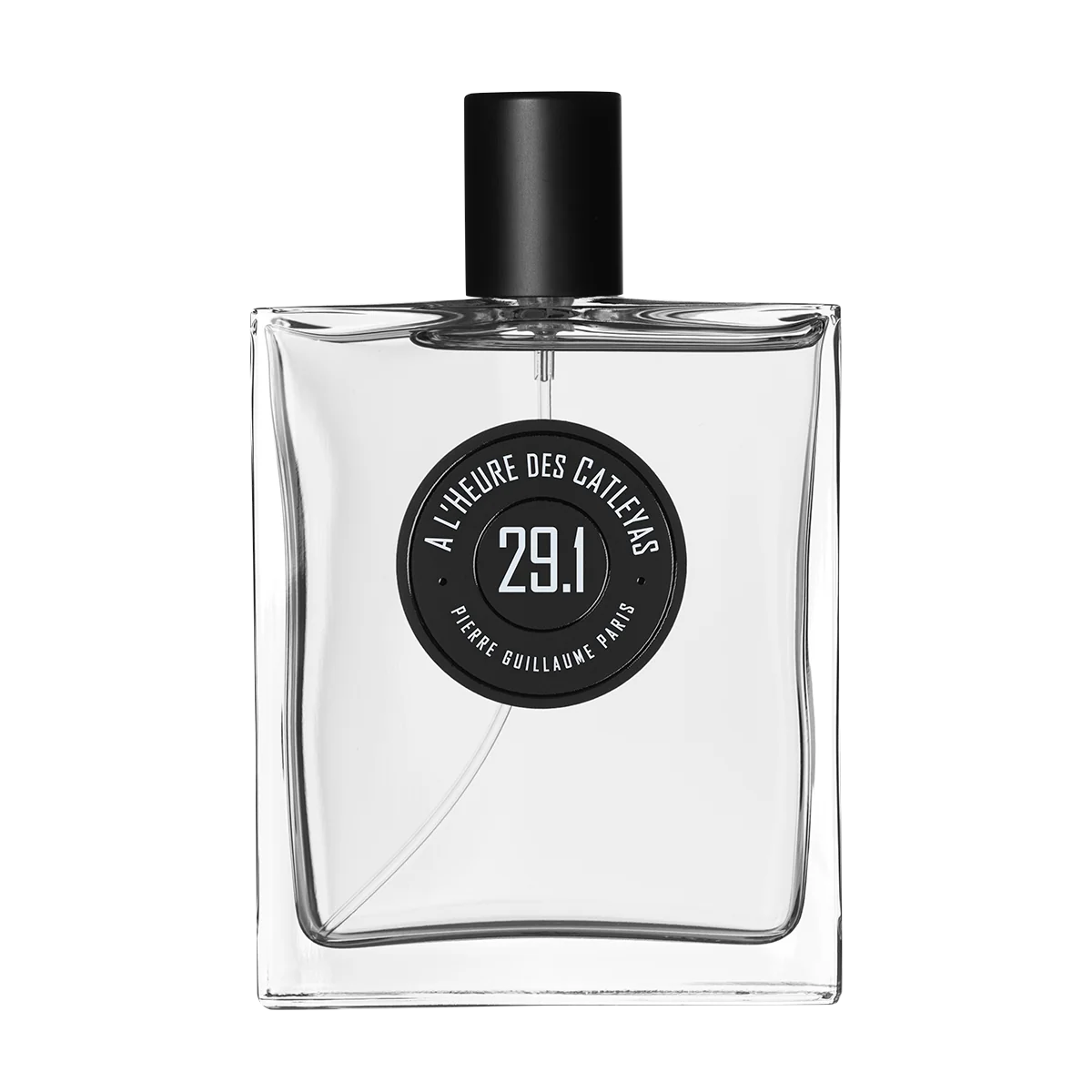 29.1 A L'HEURE DES CATLEYAS