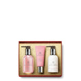 Carica l'immagine nel visualizzatore della galleria, DELICIOUS RHUBARB & ROSE HAND CARE COLLECTION
