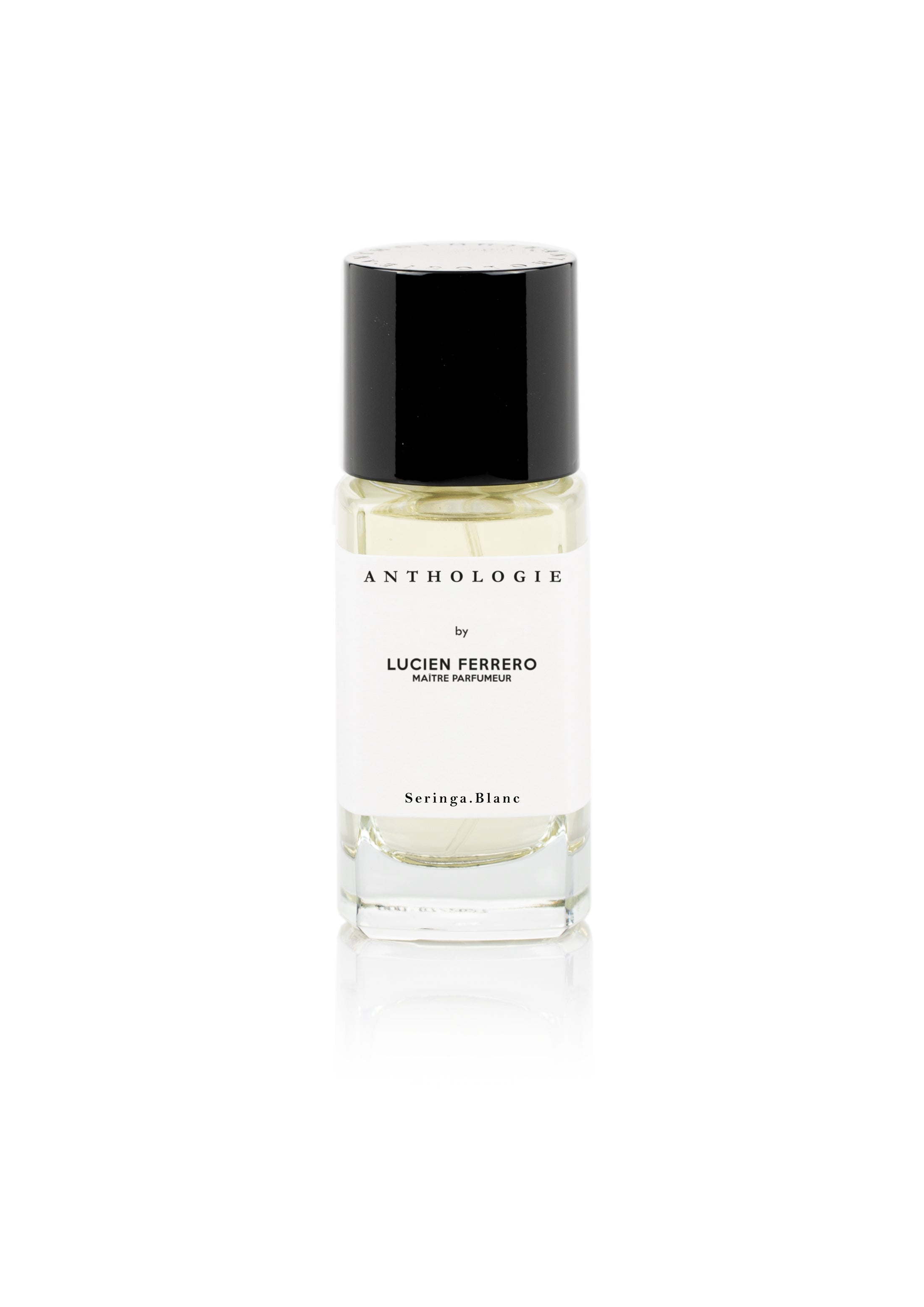 SERINGA BLANC