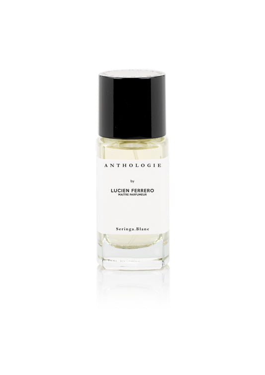 SERINGA BLANC