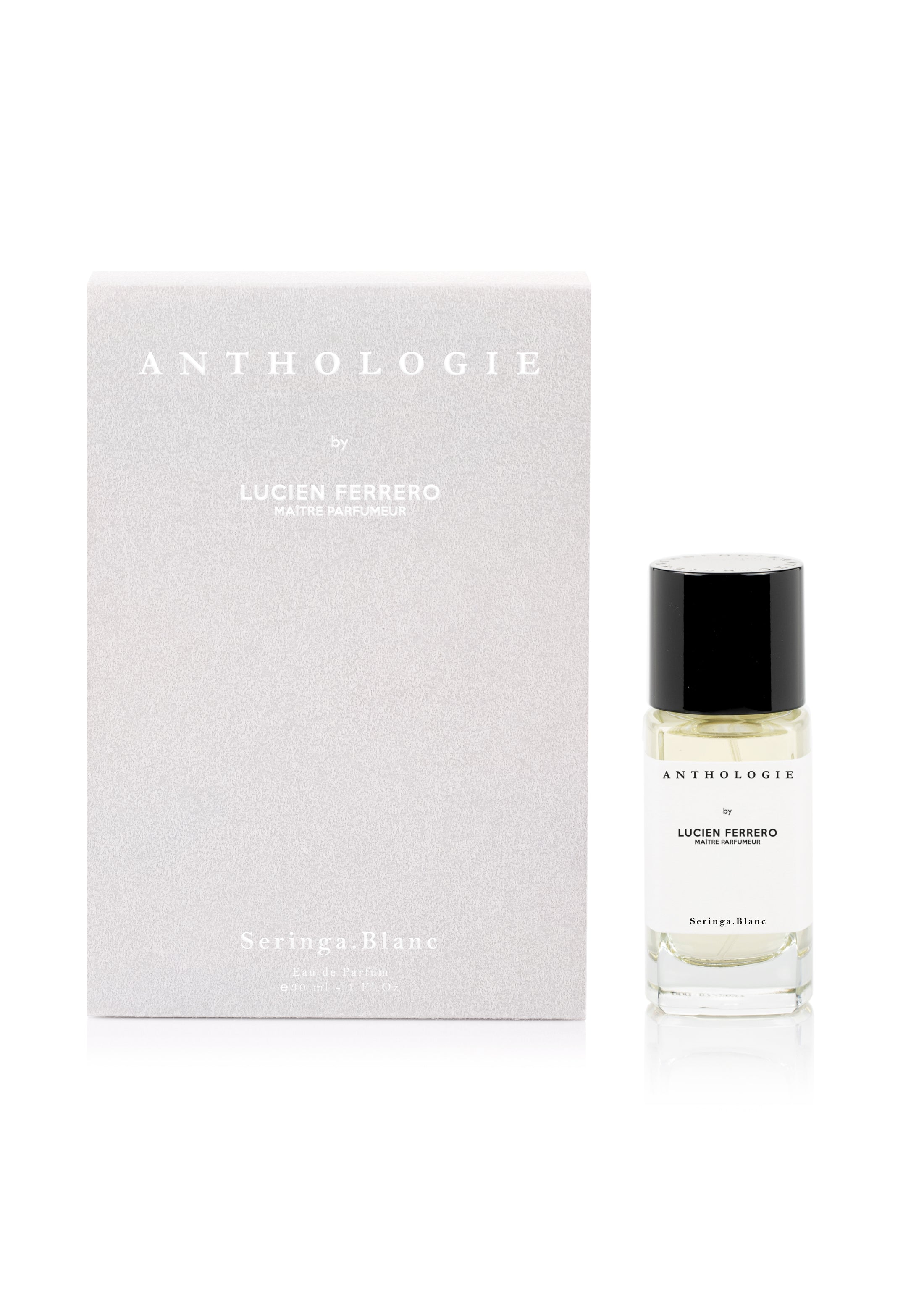 SERINGA BLANC